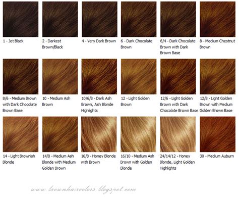 Bronze Hair Color Chart – Warehouse of Ideas