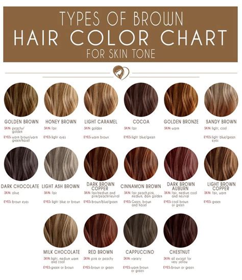Brown Hair Color Chart – Warehouse of Ideas