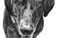 Dog Pencil Sketch Drawing